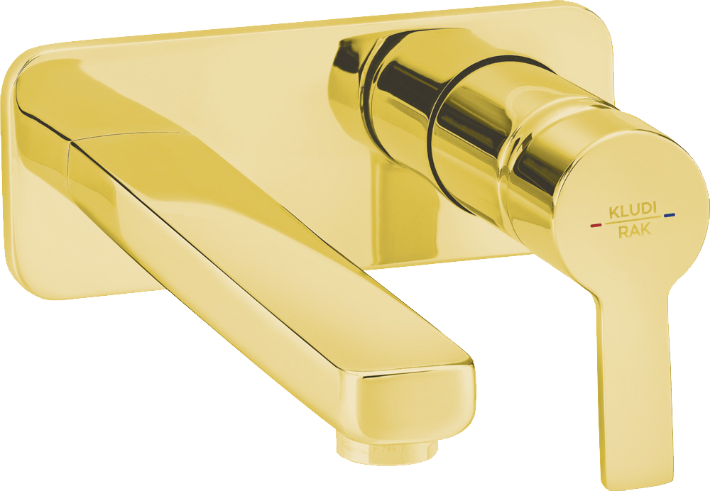PASSION W/M CONCEALED W/B MIXER GOLD(RAK13024.GD1)