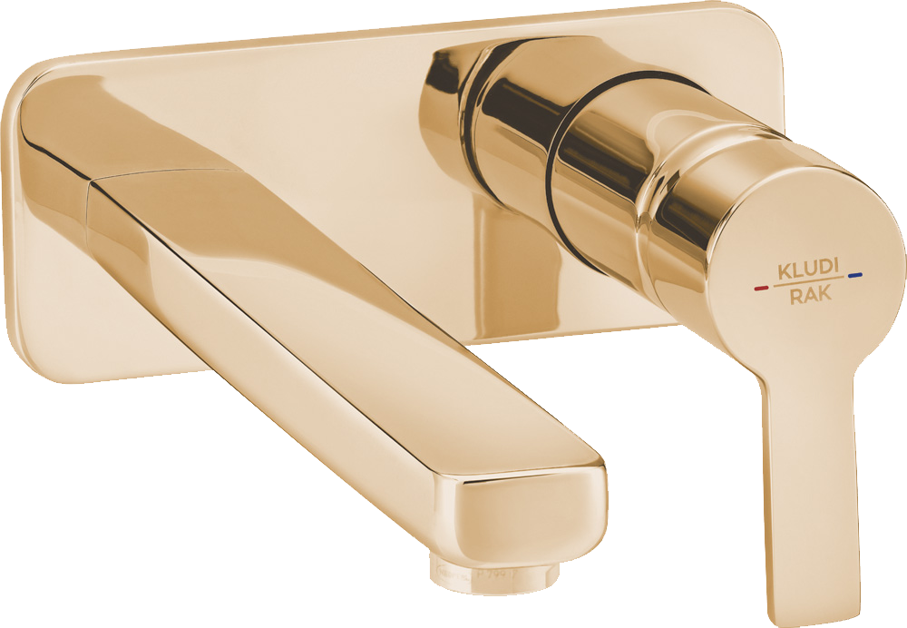 PASSION W/MOUNTED CONCEALED W/B ROSE GOLD(RAK13024.RG1)