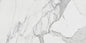 RAK Ceramics 12GP MAR WH-STATUARIO 60x120cm Porcelain Tile