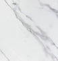 RAK Ceramics 6/ANTERO-SHELL 60x60cm Ceramic Tile