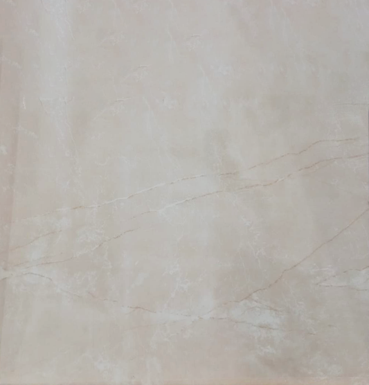 RAK Ceramics 6/JASPER-IVO.GOU 60x60cm Ceramic Tile