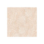 AlMaha Ceramics 50x50 AQUA CREAM Outdoor Tile