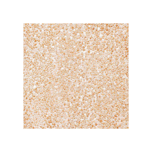 AlMaha Ceramics 50x50 CORNICHE BROWN Outdoor Tile