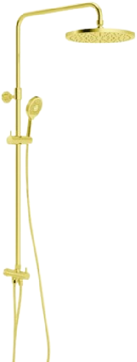 DUAL SHOWER SYSTEM ROUND L-GOLD(RAK48042.GD1)
