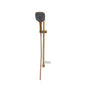3S HAND SHOWER SET GOLD (RAK62010.GD1)