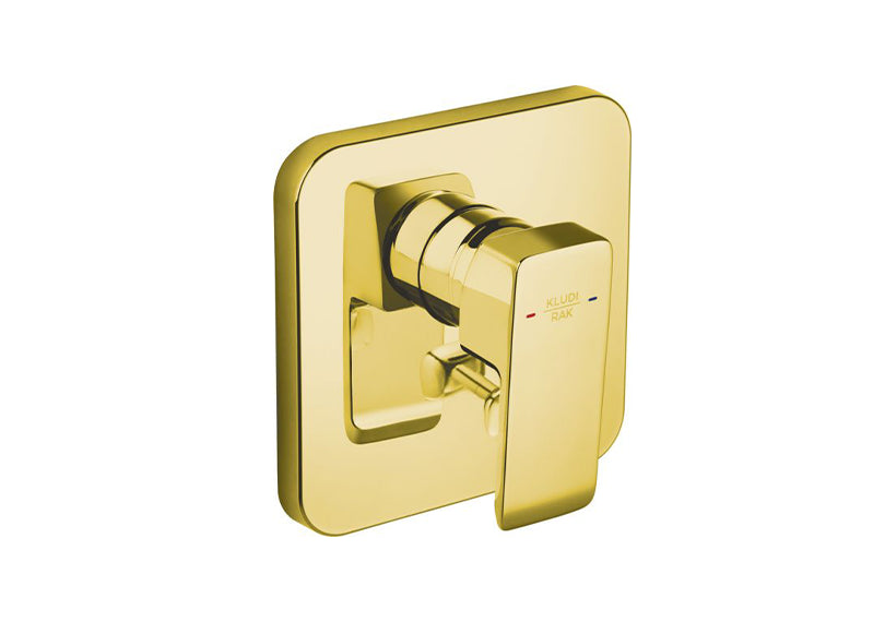 PROFILE CONCEALED SL S/H TRIM SET  GOLD (RAK14175.GD1)